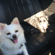 My boys, going out for a cruise.